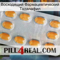 Восходящий Фармацевтический Тадалафил cialis3